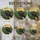 Bald Eagle Stained Glass Dawn Mosaic Window Decor For Nature Loving Bird Enthusiasts Stained Glass Suncatcher - 5
