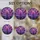 duiyfppz/products/6a7496b915bbf85691b4c98a/gallery/Gneez-0jzJ