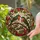 duiyfppz/products/6a7496cbac1f011ea7924ee9/gallery/hU3b0sXawl