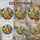 duiyfppz/products/6a74976915bbf81f10b4cb30/gallery/z6NlJvfQ6z