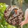 duiyfppz/products/6a7497ff2c653f701fbacf53/gallery/6bg64U9GQ2