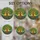 duiyfppz/products/6a74988f15bbf88414b4cd88/gallery/J9BrnAqP-K