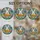 duiyfppz/products/6a7498dae3b151280a92fa99/gallery/pjehz-XN2g