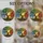 duiyfppz/products/6a7499d930c4c60c0fb5ebad/gallery/gvYyMnkQQj