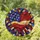 duiyfppz/products/6a749a9aeb56042f144c9b05/gallery/Jl55dvJdg9