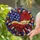 duiyfppz/products/6a749a9aeb56042f144c9b05/gallery/z2QLPwDdkg