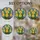 duiyfppz/products/6a749b34fe1f2f0be74f241e/gallery/--W93shWWh