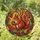 duiyfppz/products/6a749b8ab57095f9b1f36622/gallery/GdlYNo8X89