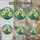 duiyfppz/products/6a749c5de3b151dabc9301e4/gallery/qV11Ihxp15