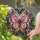 duiyfppz/products/6a749ca0abfcff918d948673/gallery/gI8Ombxv_H