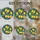 duiyfppz/products/6a749d0a27b66c6d41313d8a/gallery/53Wp8uSBZN