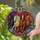duiyfppz/products/6a749d52ac1f012d3d9260b6/gallery/-LOzVtbjDm