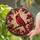 duiyfppz/products/6a749dfb30c4c630bdb5f574/gallery/W4nWTg6bs0