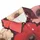 duiyfppz/products/6a749e97e5f955a37b049f1a/gallery/XYis5lJXe5