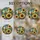 duiyfppz/products/6a749eb230c4c64ac4b5f6e9/gallery/vqElDWPh7O