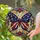 duiyfppz/products/6a749f9f30c4c61862b5f94a/gallery/14YRBXWeQm