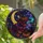 duiyfppz/products/6a74a08d01777fb2d88ad1de/gallery/mkXjTITm-P
