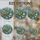 duiyfppz/products/6a74a09deb560404d74cad6a/gallery/aIvs73bkuS