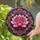 duiyfppz/products/6a74a0d3e5f9554ea904a645/gallery/lvN7_FaDcl