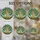 duiyfppz/products/6a74a2b5e3b1514d139312ee/gallery/Wy3JSXcdHa