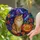 duiyfppz/products/6a74a2d6b570959d92f37a64/gallery/mMXrdSwvez