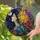 duiyfppz/products/6a74a330e5f955284e04ab97/gallery/NkP0JiOy1-