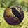 duiyfppz/products/6a74a398abfcff7a179498f1/gallery/L-WInVdu4B