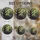 duiyfppz/products/6a74a446abfcff4faf949a93/gallery/jQ_57Mgcvt