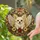 duiyfppz/products/6a74a4dd2c653fb027baf1c0/gallery/9bddB5bAGH