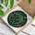 duiyfppz/products/6a74a549e5f955281a04afe7/gallery/WHM0GTcldW