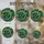 duiyfppz/products/6a74a549e5f955281a04afe7/gallery/ynHMw-1vY6