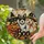 duiyfppz/products/6a74a5682c653f44adbaf2c0/gallery/v9pFQT5M8i