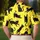 duiyfppz/products/6a7994ac5781f2a9f2a427fb/gallery/hWHyf83O_9