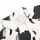 duiyfppz/products/6a799553277b74ae3902e693/gallery/cvFE8AaVWR