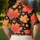 duiyfppz/products/6a7a97e865fe8829782ac716/gallery/hUnpugk03a