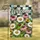 duiyfppz/products/6a855d0d3ba59b79d31cffbd/gallery/O381u8sEYE