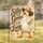 duiyfppz/products/6a86752105366641d35ffff0/gallery/sORI6yNDO8