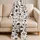 long-set/7HiTO9eWum