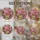 duiyfppz/products/6a86bcaa81e2ae214a64929e/gallery/Vk1IfcwTCL