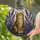 duiyfppz/products/6a86bd8139bf779a259a1579/gallery/JHOe8BSDgv