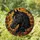 duiyfppz/products/6a86bd96e9fdf7212b00abbf/gallery/kCldvEUTcA