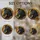 duiyfppz/products/6a86bd96e9fdf7212b00abbf/gallery/lnWsHxy9Kz