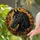 duiyfppz/products/6a86bd96e9fdf7212b00abbf/gallery/mmoTTgR18m