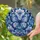 duiyfppz/products/6a86bdc139bf7753d39a17a2/gallery/unDAHiCQiV