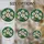 duiyfppz/products/6a86be2939bf7784b19a1bc8/gallery/60qR2S9atO