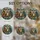duiyfppz/products/6a86bee8e9fdf7674200b725/gallery/xfT6q21vfN