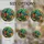 duiyfppz/products/6a86bfc039bf77637a9a2b68/gallery/rgctQs-rmd
