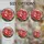 duiyfppz/products/6a86c10781e2ae6d0264bcbc/gallery/XiKjnOCiTo