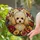 duiyfppz/products/6a86c13681e2aefda864bfba/gallery/b0f0NJcPGF