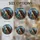 duiyfppz/products/6a86c15639bf77aa249a3bcf/gallery/64Ij2Jehd5